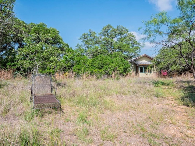 900 Pedernales Oaks Dr, Johnson City, TX 78636 - view of yard