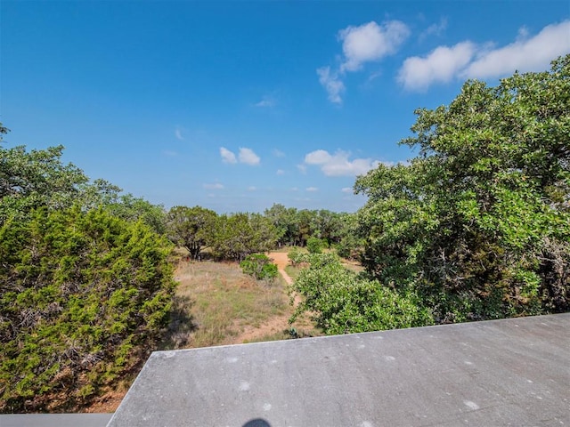 900 Pedernales Oaks Dr, Johnson City, TX 78636 - view of yard