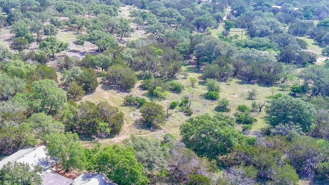 900 Pedernales Oaks Dr, Johnson City, TX 78636 - aerial view of property's location with a forest