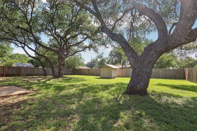 302 Martin Luther King St, Georgetown, TX 78626 - view of yard