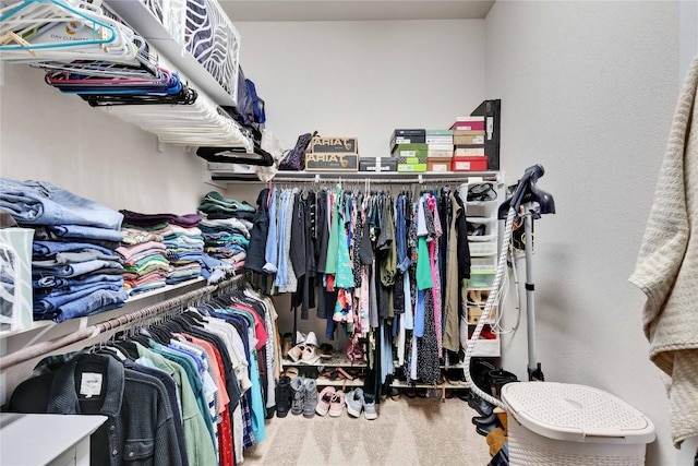 131 Mount Ellen St, Hutto, TX 78634 - spacious closet featuring carpet