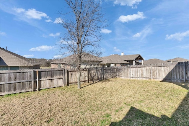 131 Mount Ellen St, Hutto, TX 78634 - view of yard