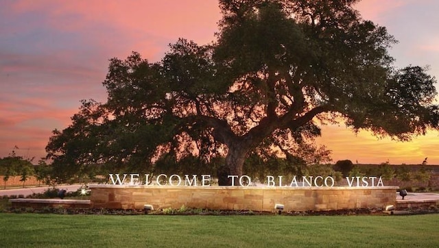 106 Mossycup Dr, San Marcos, TX 78666 - photo 28