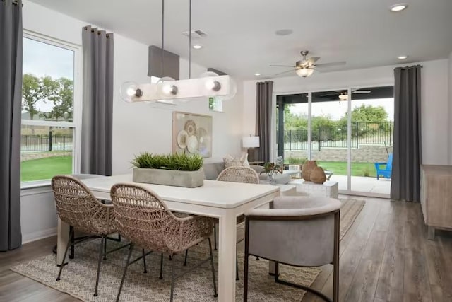 123 Crossbar St, Georgetown, TX 78633 - dining space with wood finished floors, ceiling fan, and recessed lighting