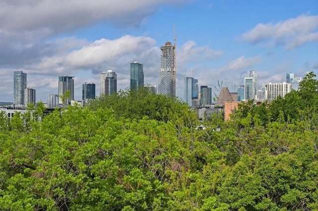 2002 E 8th St, Austin, TX 78702 - skyline view