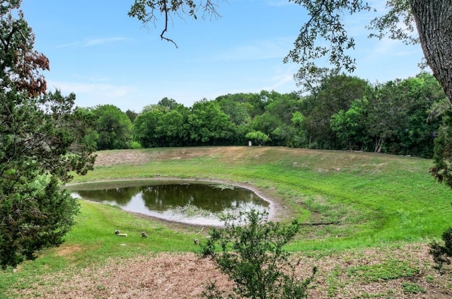 12525 Gray Camlet Ln, Austin, TX 78748 - view of grassy yard featuring a water view