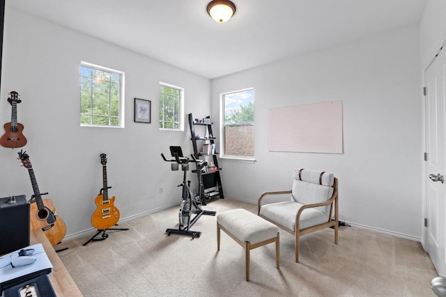1121 Salem Park Ct, Austin, TX 78745 - workout room with light colored carpet and baseboards