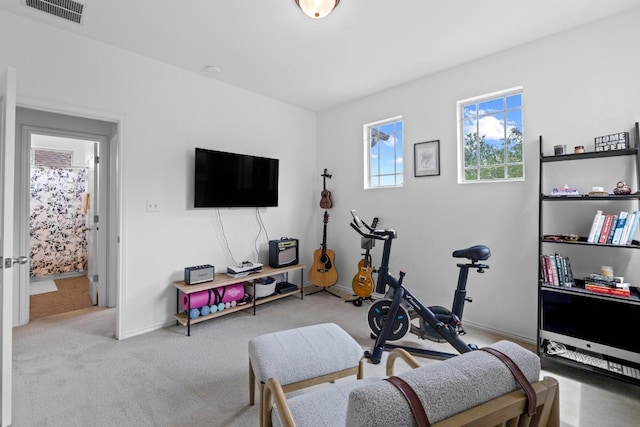 1121 Salem Park Ct, Austin, TX 78745 - exercise room featuring carpet floors and baseboards