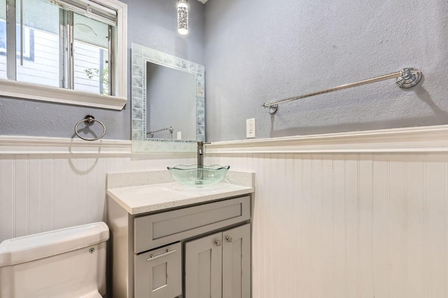 906 Hermitage Dr, Austin, TX 78753 - bathroom with vanity, wainscoting, and wood walls