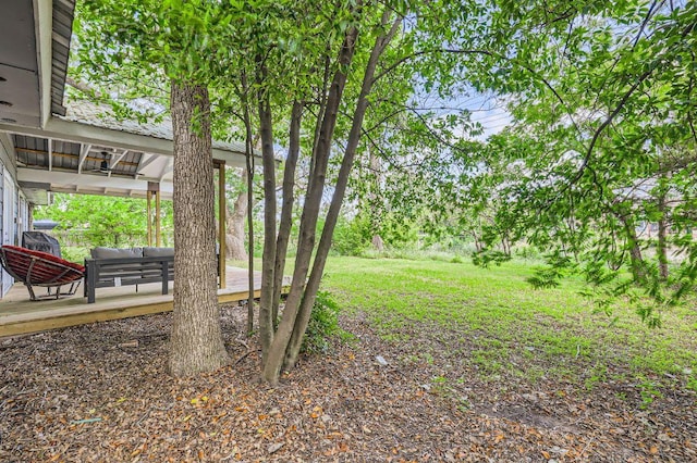 906 Hermitage Dr, Austin, TX 78753 - view of grassy yard