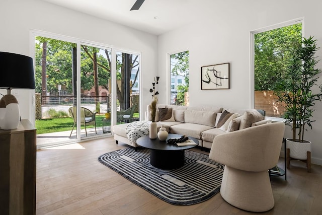 517 Tillery St Unit 1, Austin, TX 78702 - living room featuring wood-type flooring and ceiling fan
