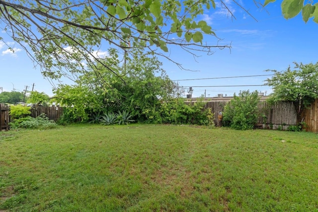 8017 Gault St, Austin, TX 78757 - view of yard