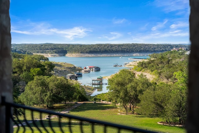 401 Brooks Hollow Rd, Lakeway, TX 78734 - water view with a forest
