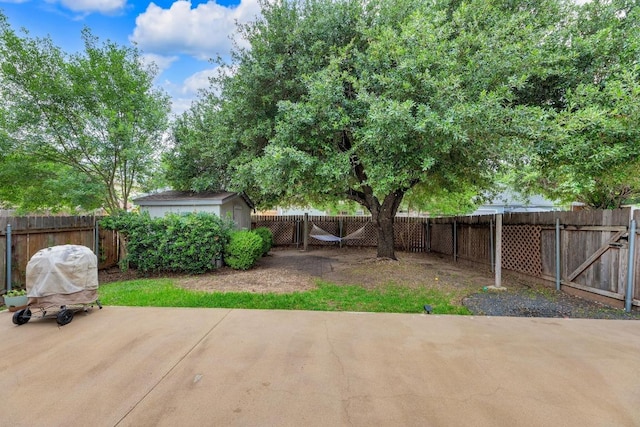 1137 Black Locust Dr, Pflugerville, TX 78660 - fenced backyard featuring a patio area