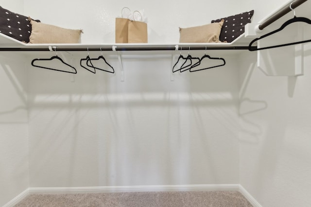 221 Escape Way, Jarrell, TX 76537 - spacious closet with carpet