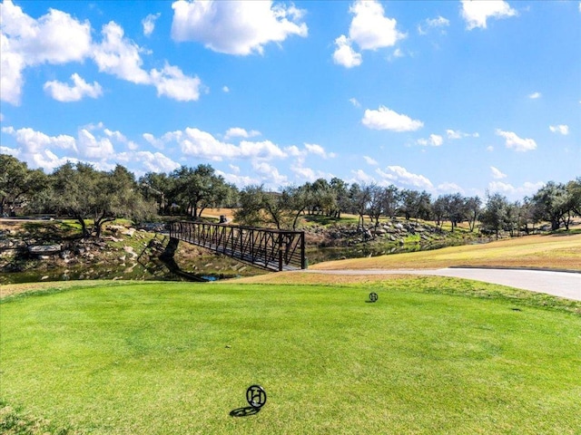 view of grassy yard