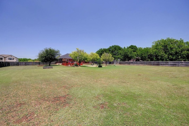 866 Bella Vista Cir, Kyle, TX 78640 - view of yard