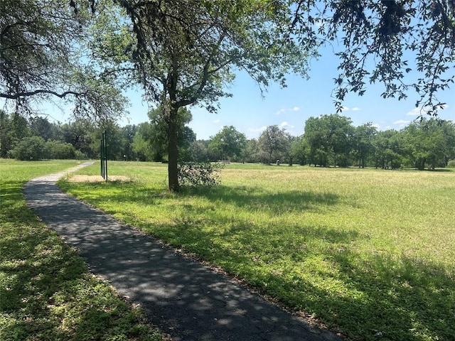 866 Bella Vista Cir, Kyle, TX 78640 - view of road featuring a forest view