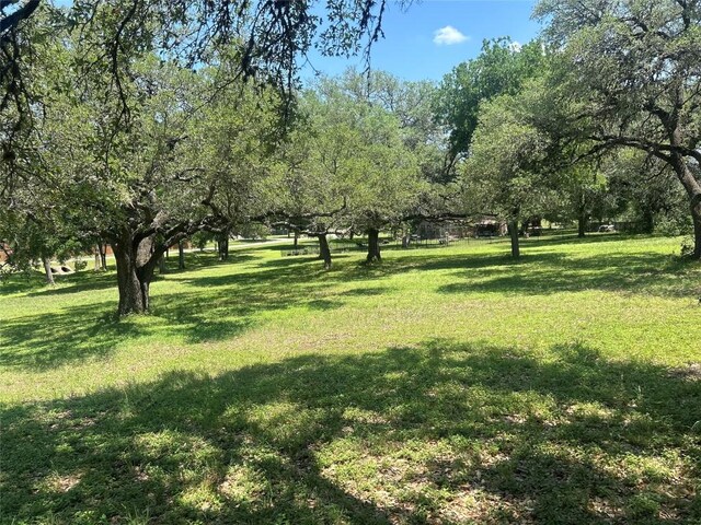 866 Bella Vista Cir, Kyle, TX 78640 - view of grassy yard