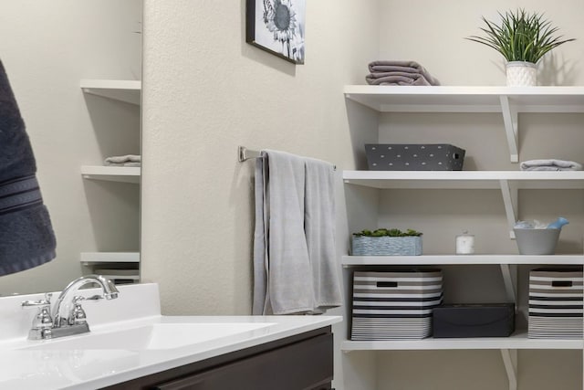 1012 Swan Flower St, Leander, TX 78641 - bathroom with vanity