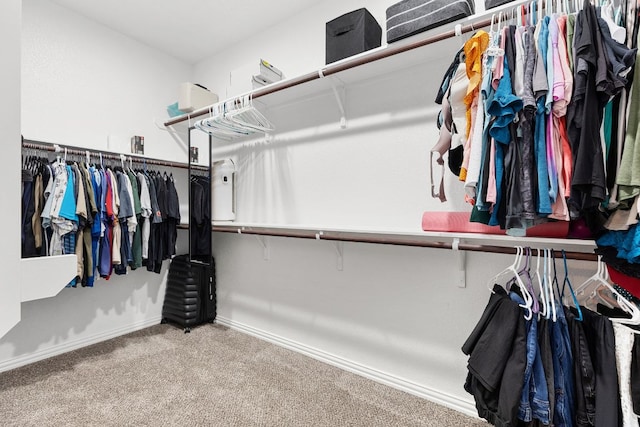 1012 Swan Flower St, Leander, TX 78641 - spacious closet with carpet floors