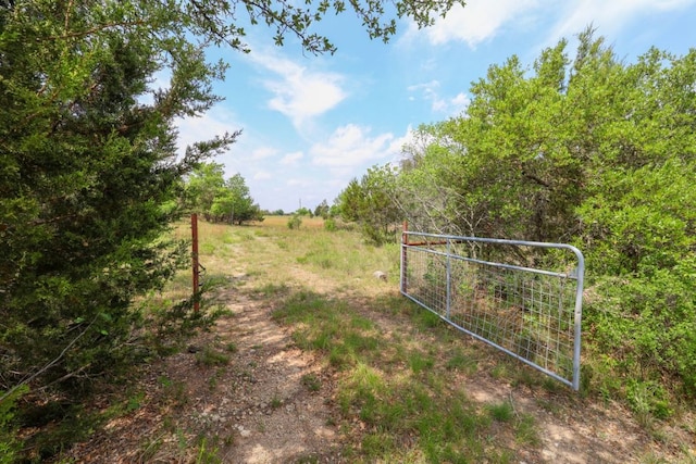215 Live Oak, Liberty Hill, TX 78642 - photo 4