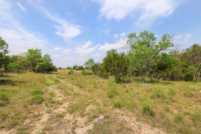 215 Live Oak, Liberty Hill, TX 78642 - photo 5