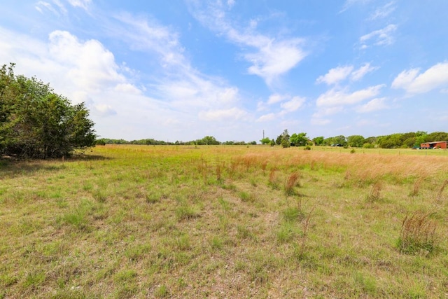 215 Live Oak, Liberty Hill, TX 78642 - photo 6