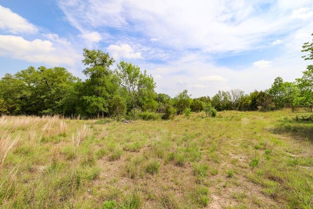 215 Live Oak, Liberty Hill, TX 78642 - photo 7