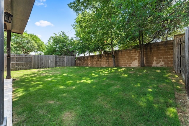 9528 Hunter Ln, Austin, TX 78748 - view of yard