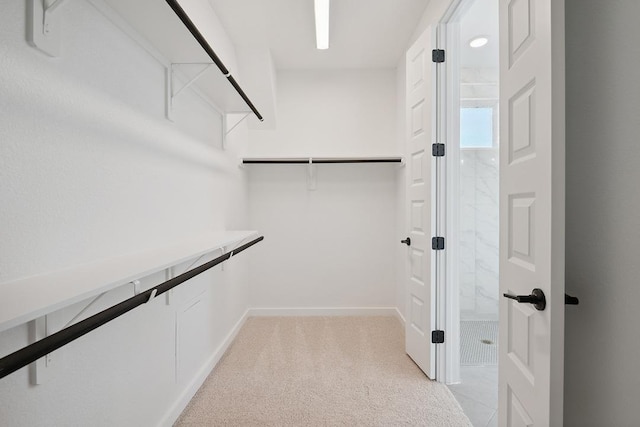 213 Cactus Tower Path, Georgetown, TX 78628 - photo 29