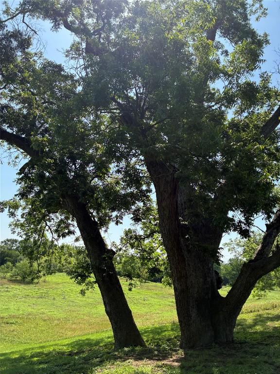 1411 Pecan Shrs, Smithville, TX 78957