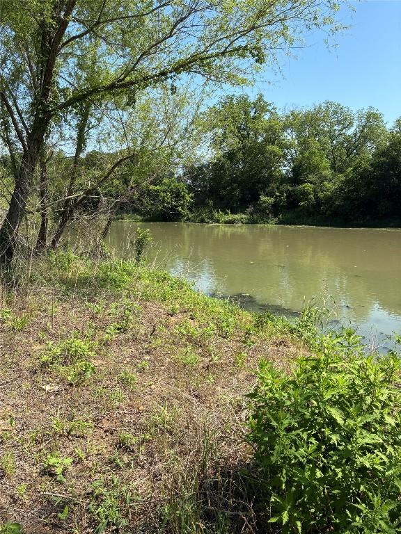 1411 Pecan Shrs, Smithville, TX 78957