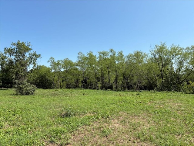 1411 Pecan Shrs, Smithville, TX 78957