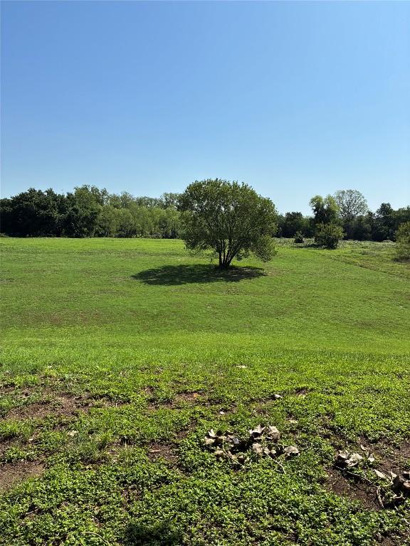 1411 Pecan Shrs, Smithville, TX 78957