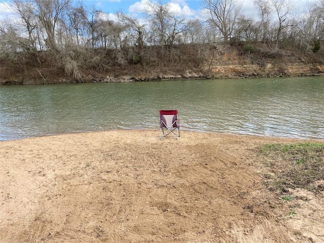 1411 Pecan Shrs, Smithville, TX 78957