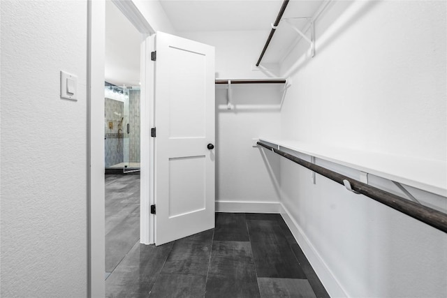 2003 Carriage Club Dr, Cedar Park, TX 78613 - view of spacious closet