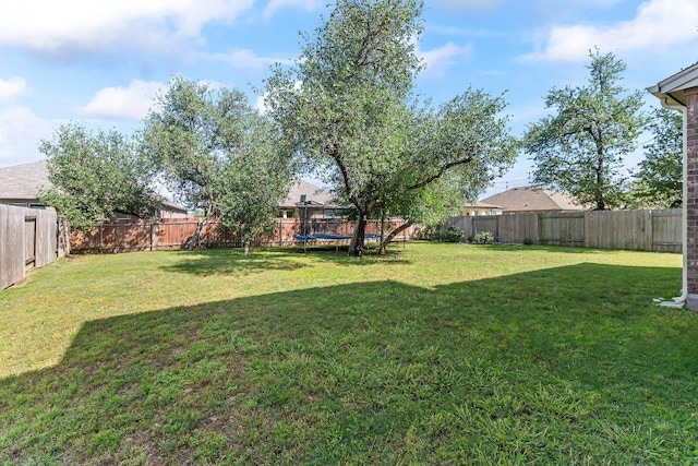 1116 Brenham Ln, Leander, TX 78641 - view of yard with a trampoline