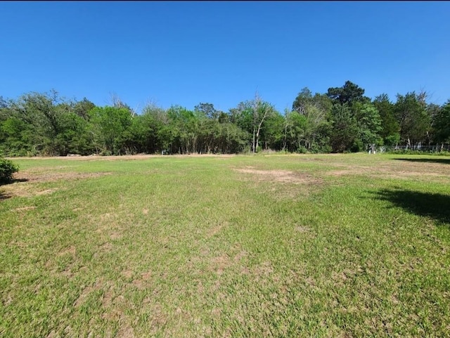 1011 N State Highway 95 N, Bastrop, TX 78602 - view of grassy yard featuring a forest view