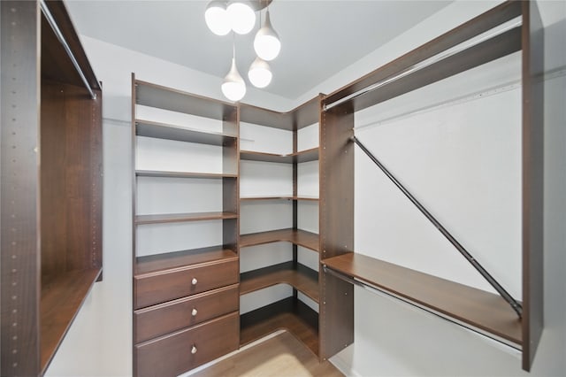 605 Swanson Cv, Austin, TX 78748 - view of walk in closet