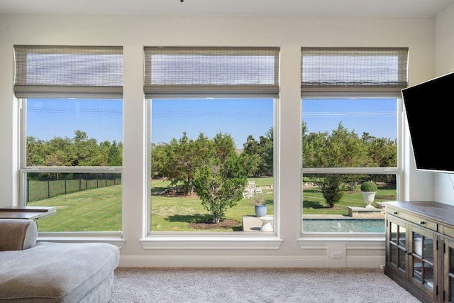 3720 Deep Pocket Dr, Leander, TX 78641 - sitting room featuring carpet floors