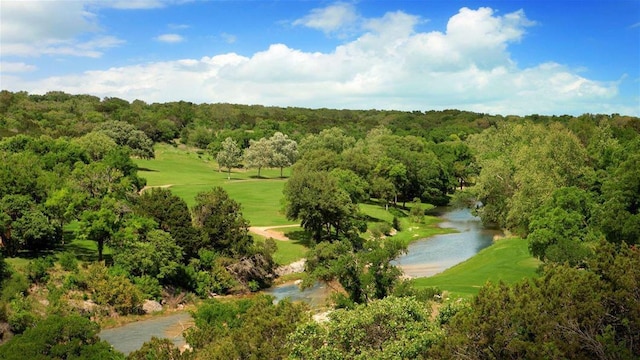 aerial view of a heavily wooded area, a local golf course, and a nearby body of water