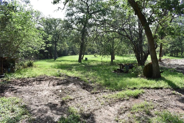 276 Arrowhead Dr, Smithville, TX 78957