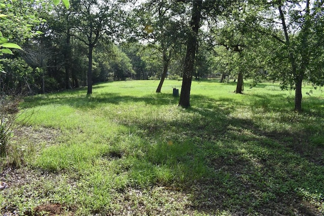 276 Arrowhead Dr, Smithville, TX 78957