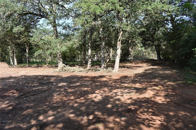276 Arrowhead Dr, Smithville, TX 78957 - photo 3