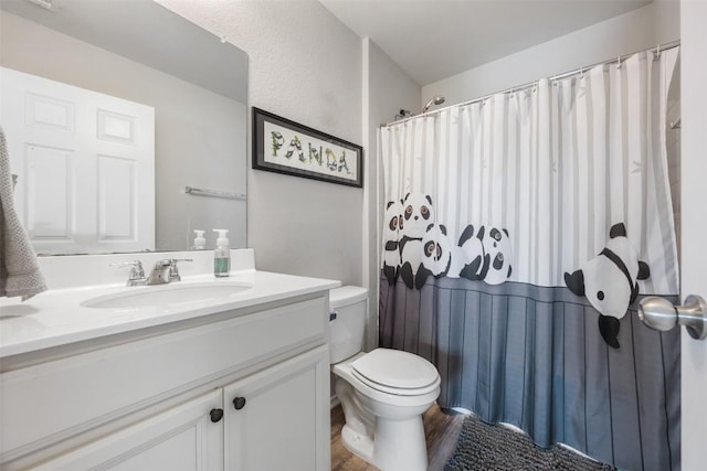 651 Bayberry Cir, Buda, TX 78610 - bathroom featuring toilet, wood finished floors, vanity, and a shower with curtain