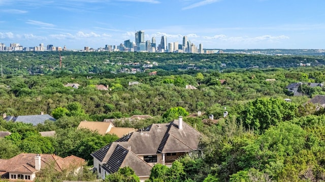 3204 Aztec Fall Cv, Austin, TX 78746 - bird's eye view of skyline and a heavily wooded area