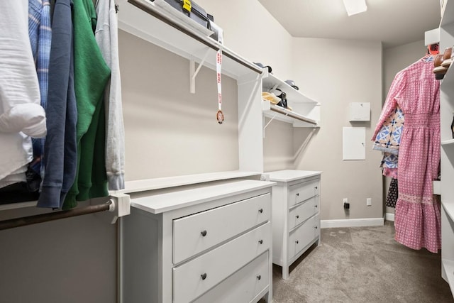spacious closet with light colored carpet