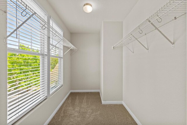502 Shadowpoint Dr, San Marcos, TX 78666 - photo 16
