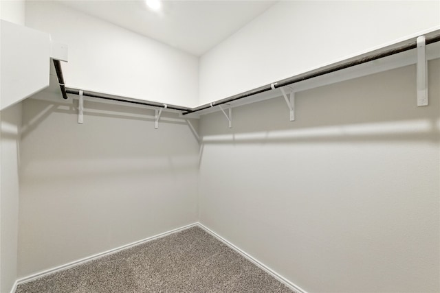 10207 Buster Dr, Austin, TX 78748 - spacious closet featuring carpet flooring